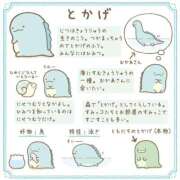 ヒメ日記 2025/02/01 09:54 投稿 ようこ めっちゃスイスク梅田店