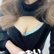 ヒメ日記 2026/02/16 12:16 投稿 あおい マダムの品格