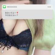 あおい 到着しました マダムの品格