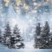 ヒメ日記 2025/02/10 23:29 投稿 長山 熟女の風俗最終章 新横浜店