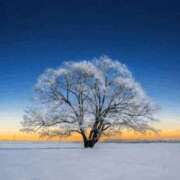 ヒメ日記 2025/02/14 22:46 投稿 長山 熟女の風俗最終章 新横浜店