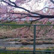 ヒメ日記 2025/03/21 22:56 投稿 長山 熟女の風俗最終章 新横浜店