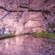 ヒメ日記 2025/03/28 21:56 投稿 長山 熟女の風俗最終章 新横浜店