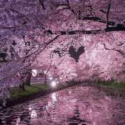 ヒメ日記 2025/04/04 22:08 投稿 長山 熟女の風俗最終章 新横浜店