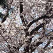 ヒメ日記 2025/04/10 22:16 投稿 長山 熟女の風俗最終章 新横浜店