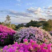 ヒメ日記 2025/04/20 22:16 投稿 長山 熟女の風俗最終章 新横浜店