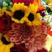 ヒメ日記 2025/04/26 21:56 投稿 長山 熟女の風俗最終章 新横浜店