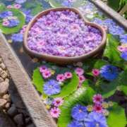 ヒメ日記 2025/05/26 13:26 投稿 長山 熟女の風俗最終章 新横浜店