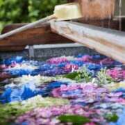 ヒメ日記 2025/06/04 23:26 投稿 長山 熟女の風俗最終章 新横浜店