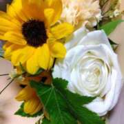 ヒメ日記 2025/06/11 23:46 投稿 長山 熟女の風俗最終章 新横浜店