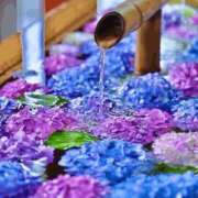 ヒメ日記 2025/06/22 00:22 投稿 長山 熟女の風俗最終章 新横浜店