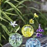 ヒメ日記 2025/06/25 21:56 投稿 長山 熟女の風俗最終章 新横浜店