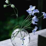 ヒメ日記 2025/06/28 12:47 投稿 長山 熟女の風俗最終章 新横浜店