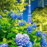 ヒメ日記 2025/07/02 22:16 投稿 長山 熟女の風俗最終章 新横浜店