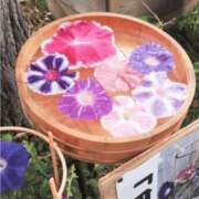 ヒメ日記 2025/07/29 23:46 投稿 長山 熟女の風俗最終章 新横浜店