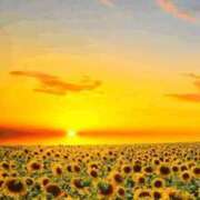 ヒメ日記 2025/08/20 10:56 投稿 長山 熟女の風俗最終章 新横浜店