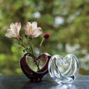 ヒメ日記 2025/08/26 11:16 投稿 長山 熟女の風俗最終章 新横浜店