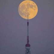 ヒメ日記 2025/09/09 23:33 投稿 長山 熟女の風俗最終章 新横浜店