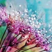 ヒメ日記 2025/09/10 23:47 投稿 長山 熟女の風俗最終章 新横浜店