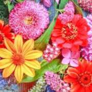 ヒメ日記 2025/10/19 23:28 投稿 長山 熟女の風俗最終章 新横浜店