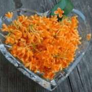 ヒメ日記 2025/10/24 22:26 投稿 長山 熟女の風俗最終章 新横浜店