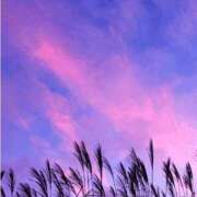 ヒメ日記 2025/11/02 13:16 投稿 長山 熟女の風俗最終章 新横浜店