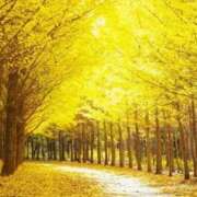 ヒメ日記 2025/11/06 22:57 投稿 長山 熟女の風俗最終章 新横浜店