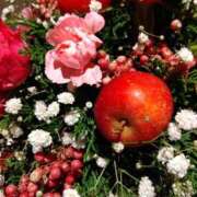 ヒメ日記 2025/11/12 22:03 投稿 長山 熟女の風俗最終章 新横浜店