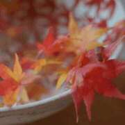 ヒメ日記 2025/11/16 22:18 投稿 長山 熟女の風俗最終章 新横浜店