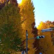 ヒメ日記 2025/11/26 22:05 投稿 長山 熟女の風俗最終章 新横浜店