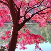 ヒメ日記 2025/12/02 22:37 投稿 長山 熟女の風俗最終章 新横浜店