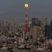 長山 🩷こんばんは🩷 熟女の風俗最終章 新横浜店