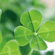 ヒメ日記 2026/01/14 23:46 投稿 長山 熟女の風俗最終章 新横浜店