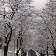 ヒメ日記 2026/02/09 12:46 投稿 長山 熟女の風俗最終章 新横浜店