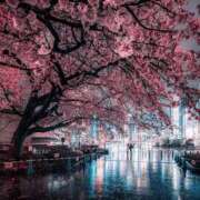 ヒメ日記 2026/04/04 23:06 投稿 長山 熟女の風俗最終章 新横浜店