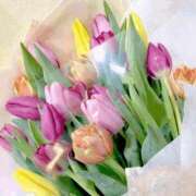 ヒメ日記 2026/04/05 23:46 投稿 長山 熟女の風俗最終章 新横浜店