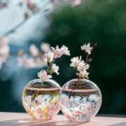 ヒメ日記 2026/04/14 23:26 投稿 長山 熟女の風俗最終章 新横浜店