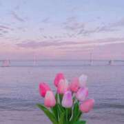 ヒメ日記 2026/04/16 11:16 投稿 長山 熟女の風俗最終章 新横浜店