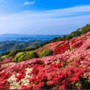 ヒメ日記 2026/04/19 21:46 投稿 長山 熟女の風俗最終章 新横浜店