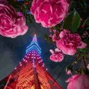 ヒメ日記 2026/05/29 23:26 投稿 長山 熟女の風俗最終章 新横浜店