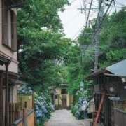 ヒメ日記 2026/06/28 23:56 投稿 長山 熟女の風俗最終章 新横浜店