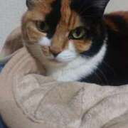 ヒメ日記 2025/03/12 09:15 投稿 ろみ 熟女家 東大阪店（布施・長田）