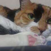 ヒメ日記 2025/03/23 09:05 投稿 ろみ 熟女家 東大阪店（布施・長田）