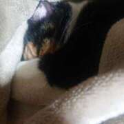 ヒメ日記 2025/03/26 09:05 投稿 ろみ 熟女家 東大阪店（布施・長田）