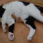 ヒメ日記 2025/04/22 09:05 投稿 ろみ 熟女家 東大阪店（布施・長田）