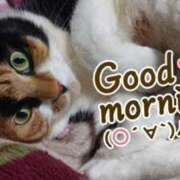 ヒメ日記 2025/05/07 09:10 投稿 ろみ 熟女家 東大阪店（布施・長田）