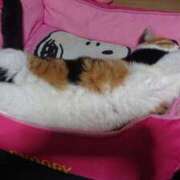 ヒメ日記 2025/05/15 09:05 投稿 ろみ 熟女家 東大阪店（布施・長田）