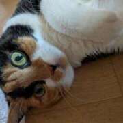 ヒメ日記 2025/08/11 18:35 投稿 ろみ 熟女家 東大阪店（布施・長田）