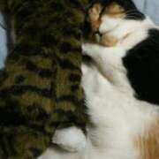 ヒメ日記 2025/09/02 12:25 投稿 ろみ 熟女家 東大阪店（布施・長田）