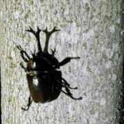 ヒメ日記 2025/09/13 20:36 投稿 ろみ 熟女家 東大阪店（布施・長田）